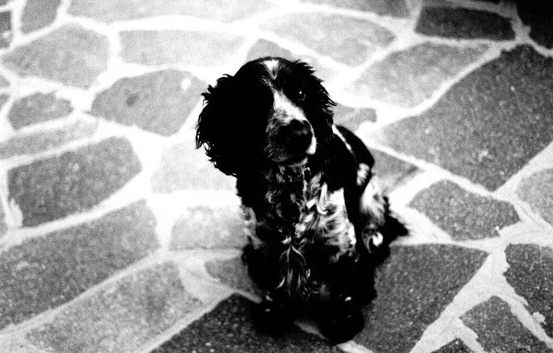 bw-0014.jpg