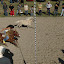 Pony race