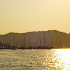 DSC01628.jpg