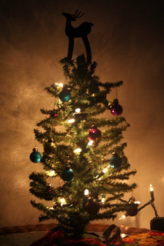 [IMG_5624copy7.jpg]