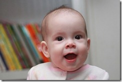 IMG_0395 IMG_0395