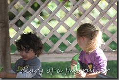 IMG_1966 IMG_1966