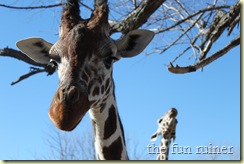 IMG_4567 IMG_4567