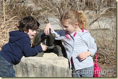 IMG_4516 IMG_4516