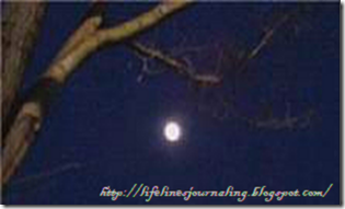 moon moon