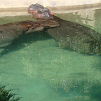 Picture 049 (Large).jpg