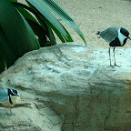 Picture 063 (Large).jpg