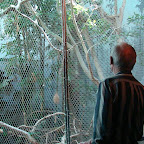 Picture 064 (Large).jpg