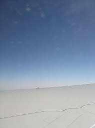 wing, 2008
