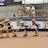 DSC03463.JPG