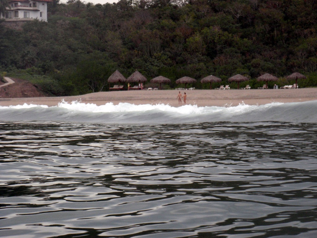 [P1020440[10].jpg]