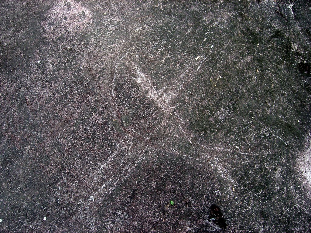 [CIMG65382.jpg]