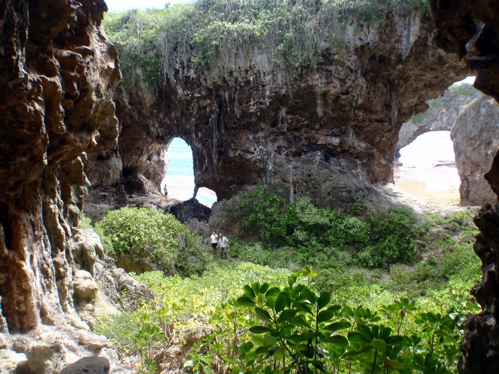 [P8210561[2].jpg]