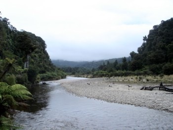 [fernriver[5].jpg]