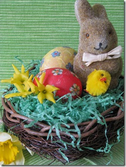 IMG_4546 IMG_4546