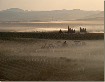 Amanecer en la campiña de Baños y Bailén (Jaén)