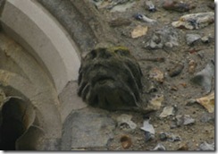 leonine-head-2