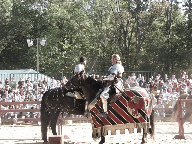 [joustknight2 (1 of 1)[4].jpg]