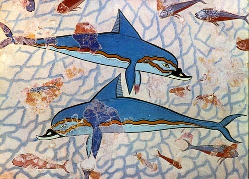 [dolphins[5].jpg]