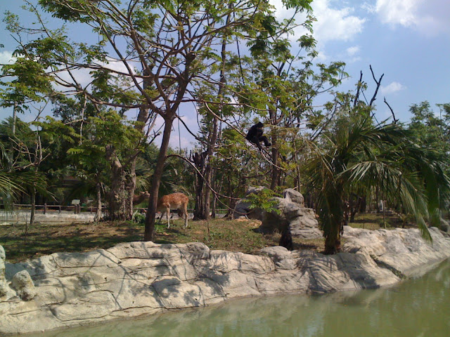 đại nam bình dương - ai đì chơi tết tây về chỉ giáo với - 10