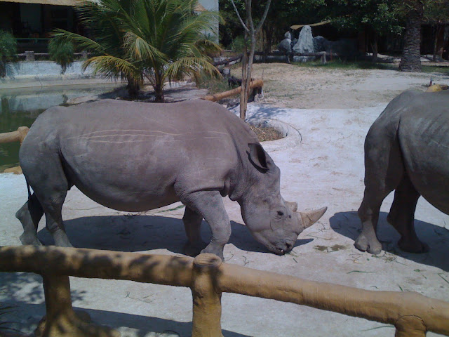 đại nam bình dương - ai đì chơi tết tây về chỉ giáo với - 13