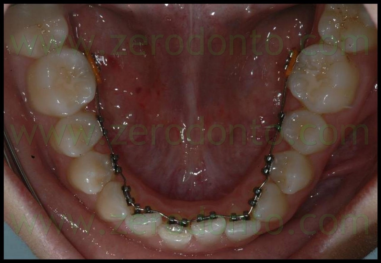 [fig 10[8].jpg]
