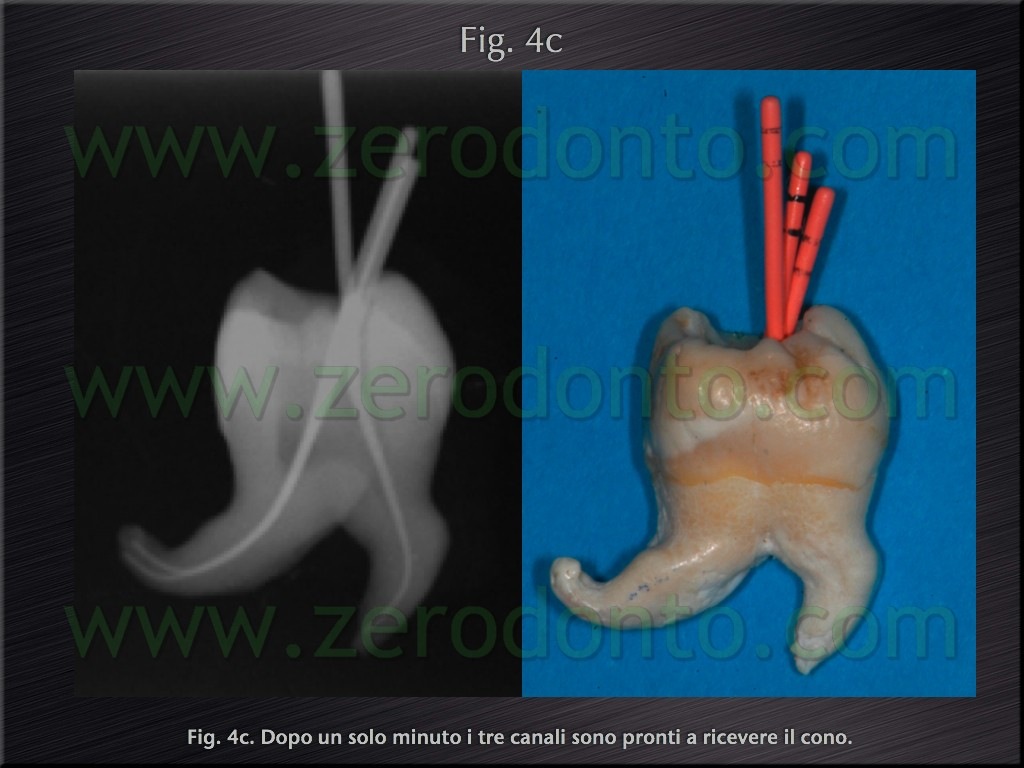 [Fig.4c[6].jpg]