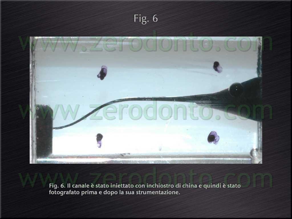 [Fig.6[4].jpg]