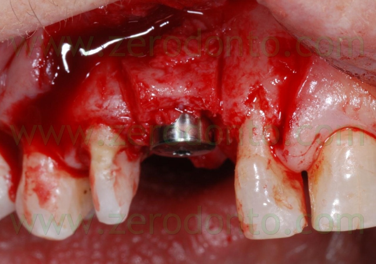 [DSC_3977 (Large)[3].jpg]