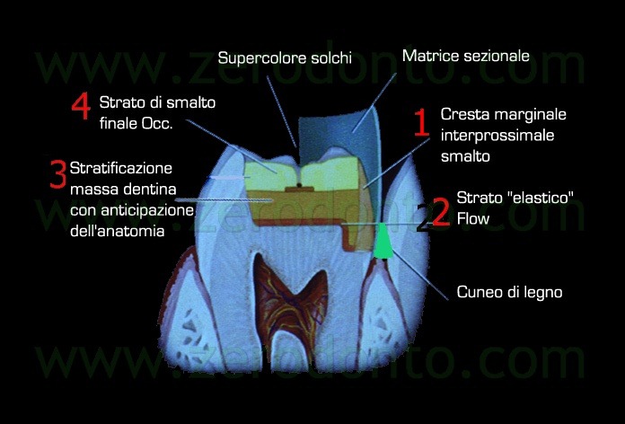 [Fig0011Rosti Q1[5].jpg]