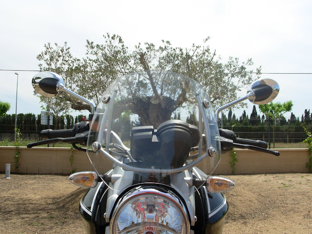 DSCN0020.JPG