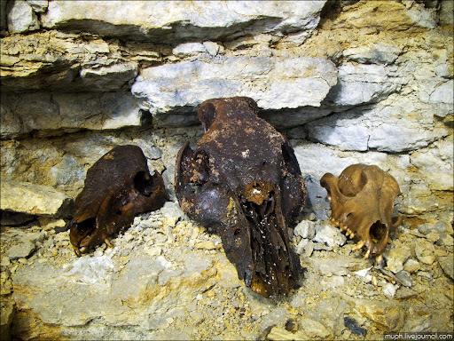 scull2.jpg