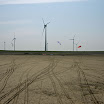 DSC05365.JPG