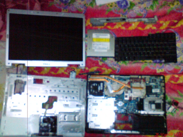 [DSC005074.jpg]