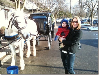 will mommy horse