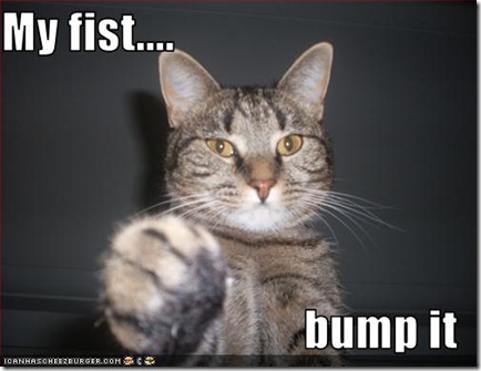 funny-pictures-cat-offers-fist