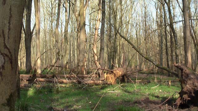 [IMGA07005.jpg]