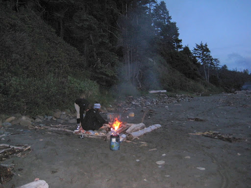 thermostat for firelogs blower
