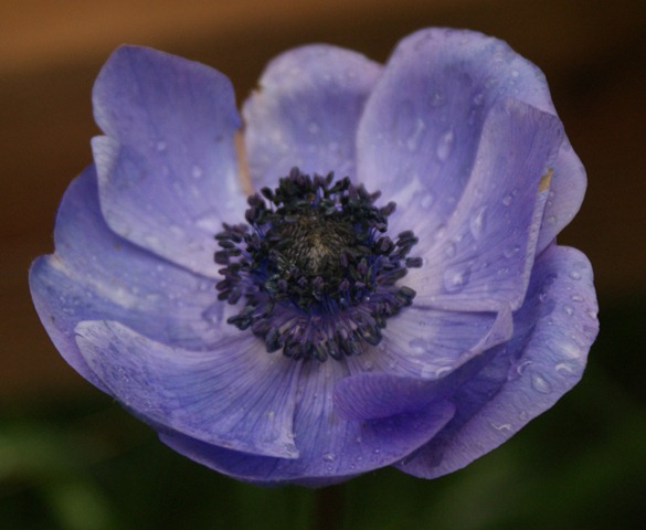 [DSC011673.jpg]