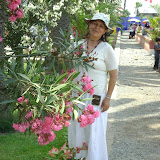DSC03634.jpg