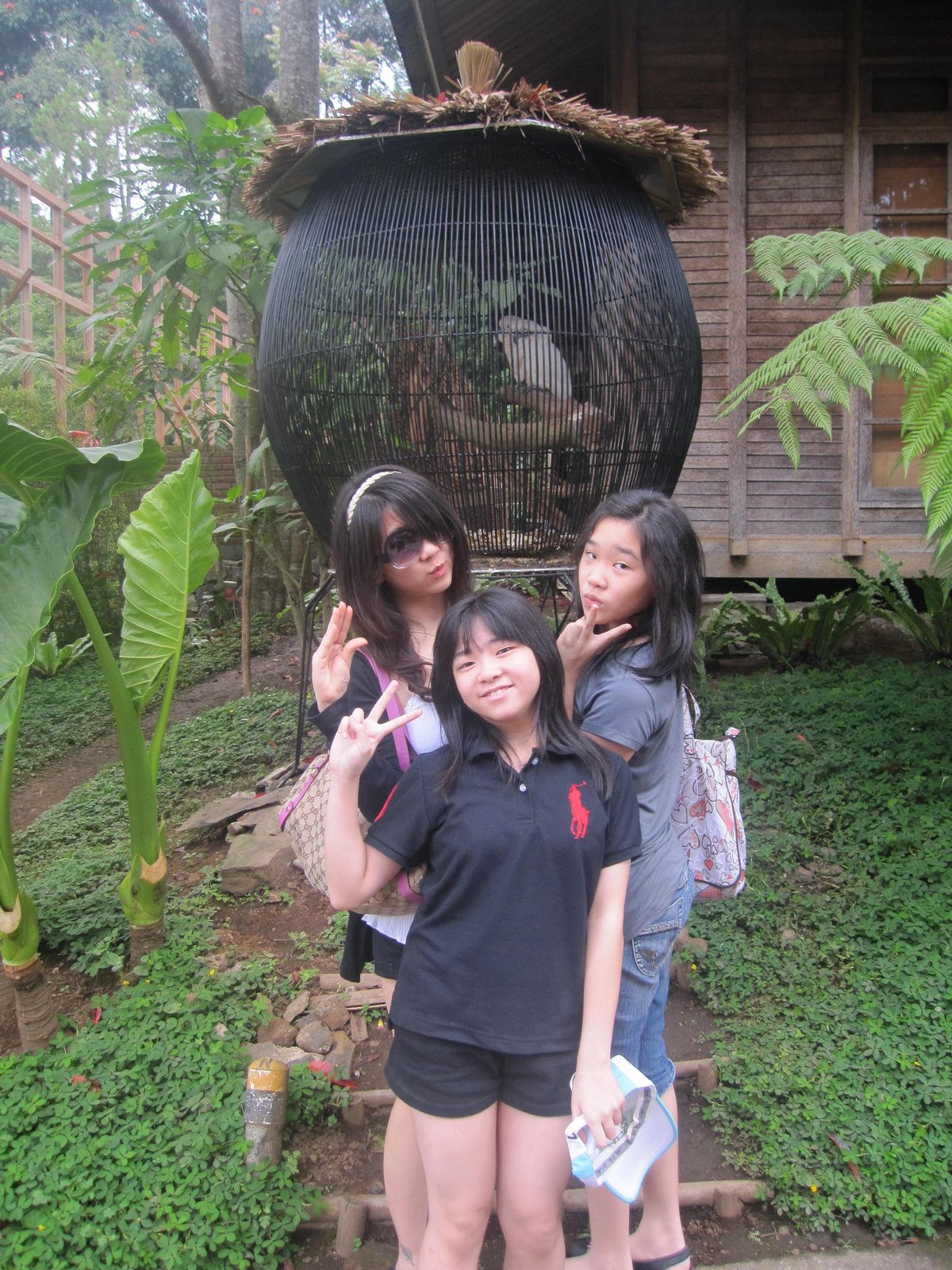 [IMG_06682.jpg]