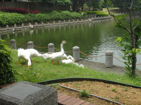 DSC00568.JPG