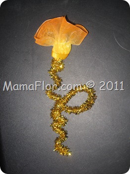 IMG_0051 IMG_0051
