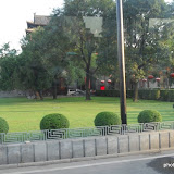 CIMG0649.JPG