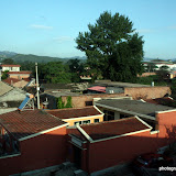IMG_8998.JPG