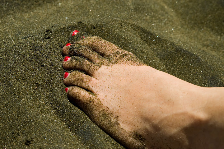 Muriwai Black Sand and Sheila's Foot
