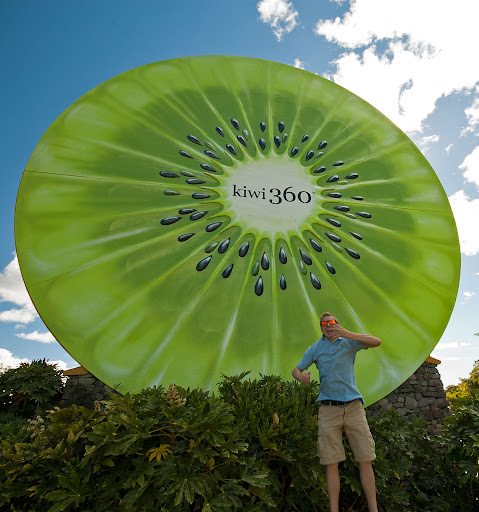 Kiwi 360 Giant Kiwi