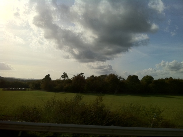 a field of grass and trees