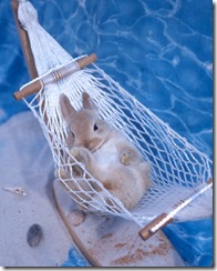pets_beach_ori00094854_xl pets_beach_ori00094854_xl