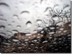 DSCN2516